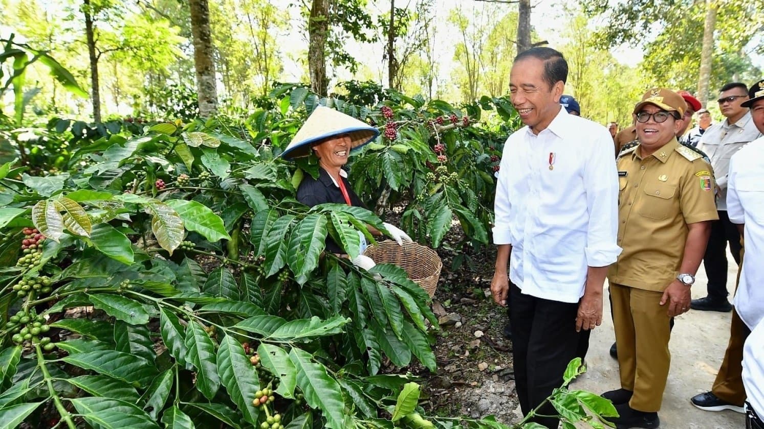 Jokowi Akan Blusukan ke Lampung Selama 4 Hari, Ikut Karnaval Budaya